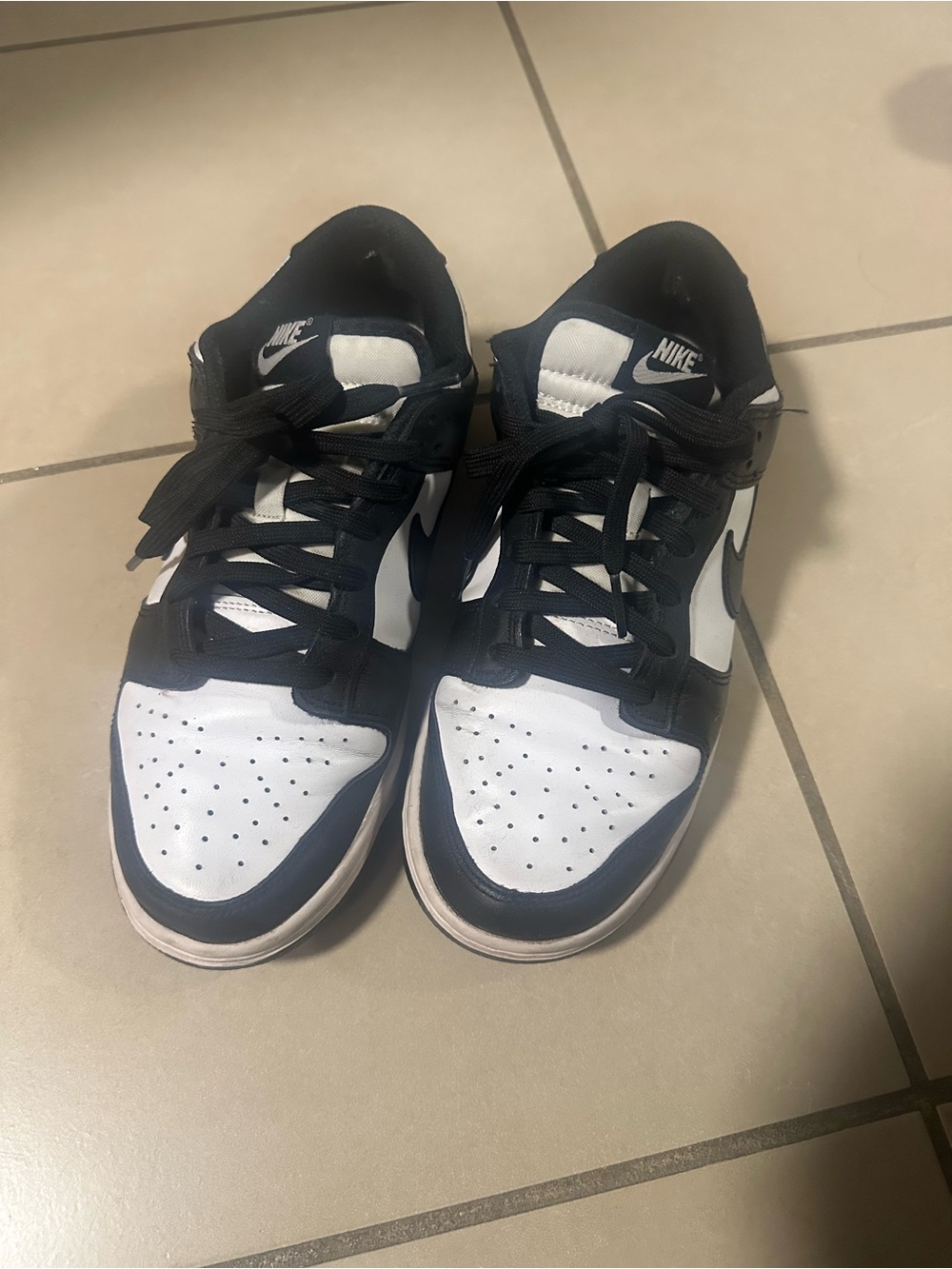 Nike Dunk Low